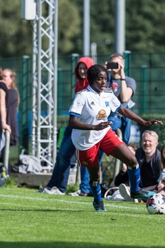 Bild 372 - wBJ Hamburger SV - Holstein Kiel : Ergebnis: 2:0